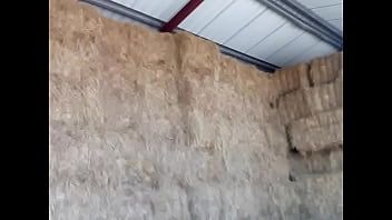 播放 Haybale 于 2021 年 7 月 18 日摆脱手淫和精液