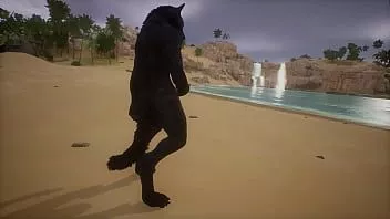 play Wolf trekt zich af op het strand - dieren in het wild