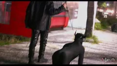 Riproduci Il maestro prende il controllo: passeggiata hardcore in città con il suo animale domestico sottomesso, scatenando fantasie BDSM gay estreme
